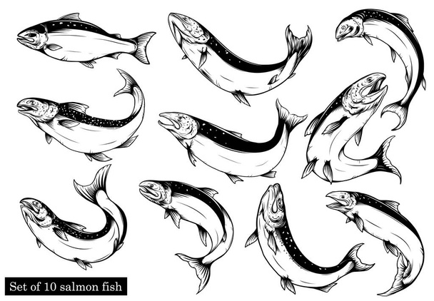 Somon sanatı sanat stilinde son derece detaylı. Somon balığı vektörü elle çizilmiş. Beyaz arka planda balık dövmesi. Beyaz arka planda siyah ve beyaz balık vektörü.. - Vektör, Görsel