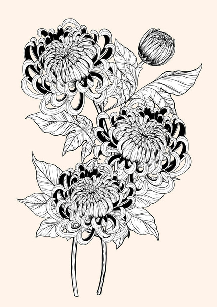 Chryzantéma vektor na hnědém pozadí.Chryzantéma květ ručně kreslení.Květinové tetování velmi podrobně v line art style.Květina tetování černá a bílá koncepce. - Vektor, obrázek