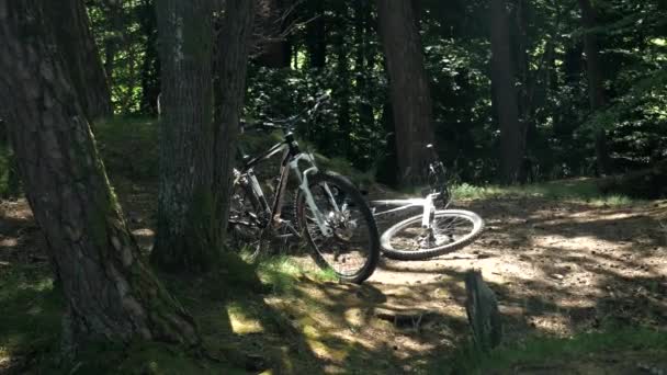 Colpo statico di mountain bike nella foresta durante la pausa nella bella giornata di sole - Filmati, video