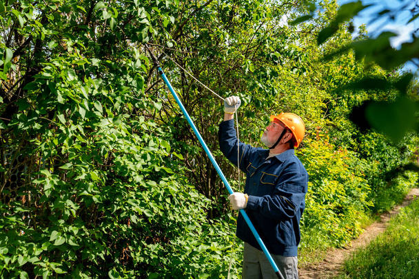 gardener in helmet trims trees in garden. protection from falling down branches - Zdjęcie, obraz