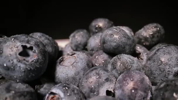 Blueberries in a pile probe lens macro - Filmmaterial, Video