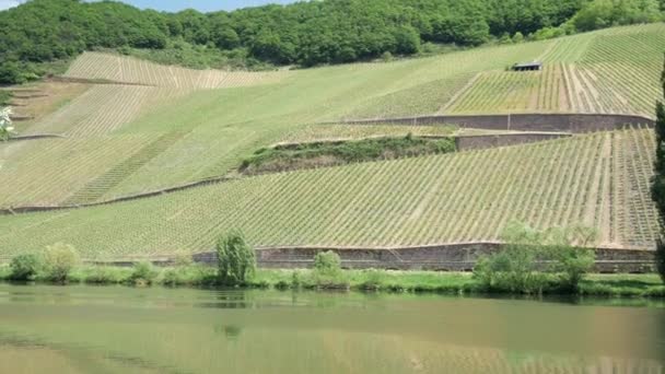 Повільний панорамний знімок річки Мозель та епічного виноробного регіону пейзаж на фоні
 - Кадри, відео