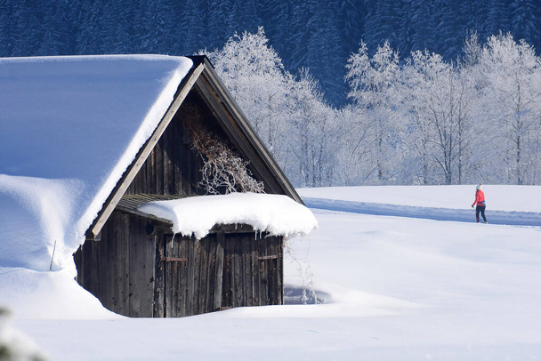 Kış harikalar diyarı Yukarı Avusturya 'nın güneyindeki Gosau kros kayakları için bir cennettir.. - Fotoğraf, Görsel