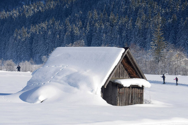 O país das maravilhas do inverno Gosau, no sul da Alta Áustria, é um paraíso para esqui cross-country. - Foto, Imagem