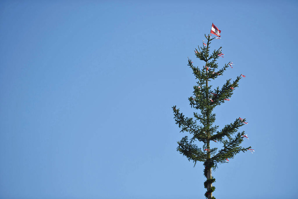 Instalação Maypole em Laakirchen (distrito de Gmunden, Alta Áustria, Áustria) - Um mastro é uma árvore ou tronco decorado que é colocado na Áustria em 1 de maio (geralmente 30 de abril) na aldeia ou praça da cidade.
. - Foto, Imagem