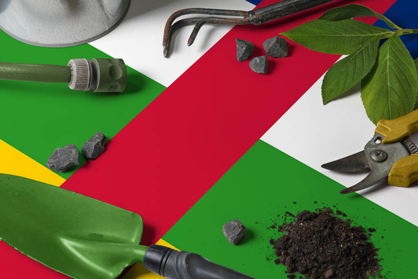 Central African Republic flag with gardening tools background on table. Spring in the garden concept with free copy space. - Foto, Imagem