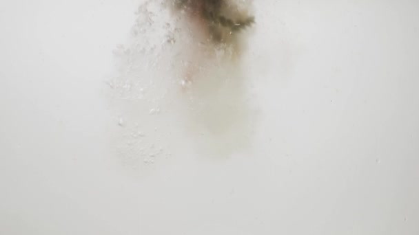 разноцветная паста падает в чистую воду на белом фоне экстремально крупным планом замедленного движения 4К
 - Кадры, видео