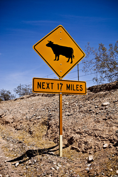Знак "Пересечение коров"
 - Фото, изображение