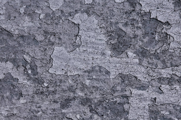 gray stucco grunge wall, abstract background gray wall blank - Фото, изображение
