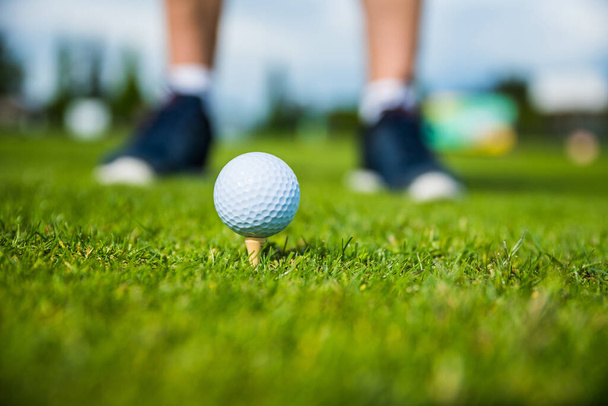 golf ball ang club on golf green grass natural  fairway - Фото, зображення