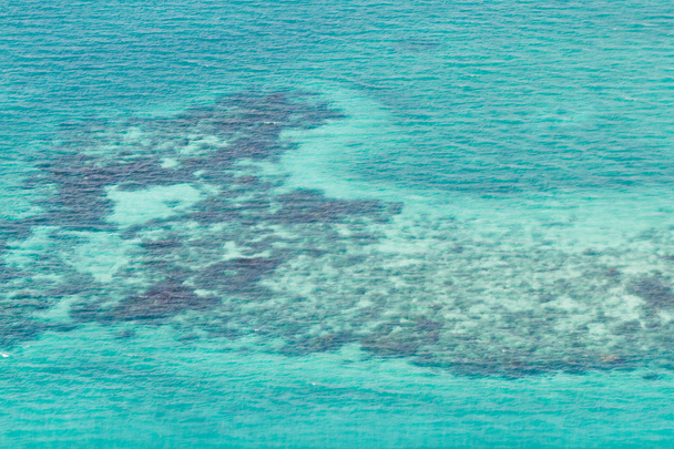 Barrier riutta Karibialla
 - Valokuva, kuva