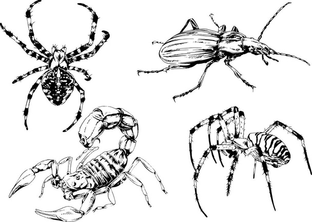 vector drawings sketches different insects bugs Scorpions spiders drawn in ink by hand , objects with no background - Vektor, obrázek