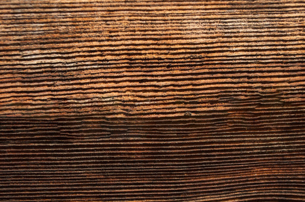 Brown wall, beautiful bright texture pattern, pine timber with cracks. Background - Foto, Bild