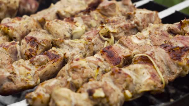 Vlees wordt gebakken op spiesjes op de grill, van dichtbij. Koken van shashlik.  - Video