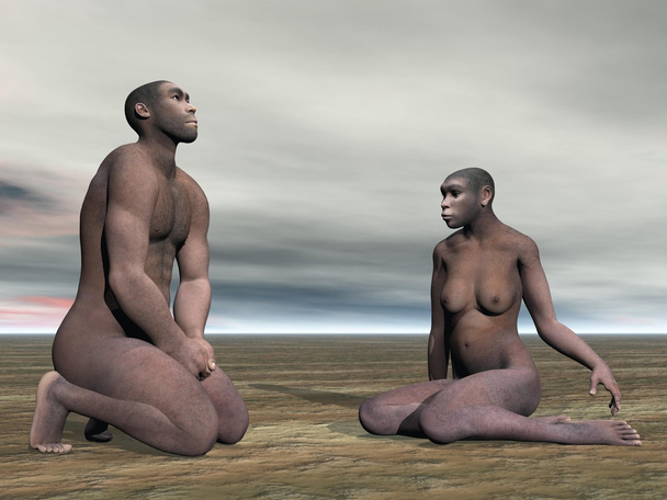 Homo erectus pari- 3D renderöinti
 - Valokuva, kuva