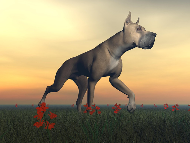 Great dane dog - 3D render - Photo, Image