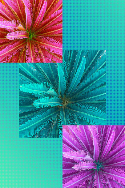 Współczesny kolaż. Kompozycja geometryczna z palmami w jasnoróżowych turkusowych kolorach. Koncepcja letnia, abstrakcja - Zdjęcie, obraz