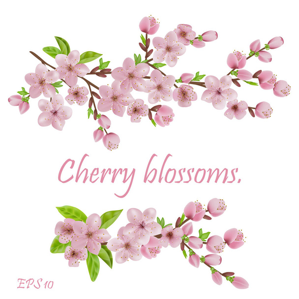 Kukka sakura, kirsikankukkia. itämaisen ivite, flyer, kauneus tarjous, häät, morsiussuihku, juliste, vauva suihku, Äidit ja naiset day.EPS 10
 - Vektori, kuva