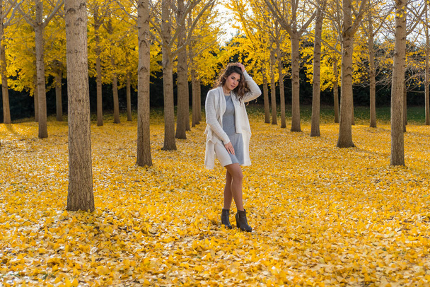 Piękna brunetka model z żółtymi liśćmi jesieni - Zdjęcie, obraz