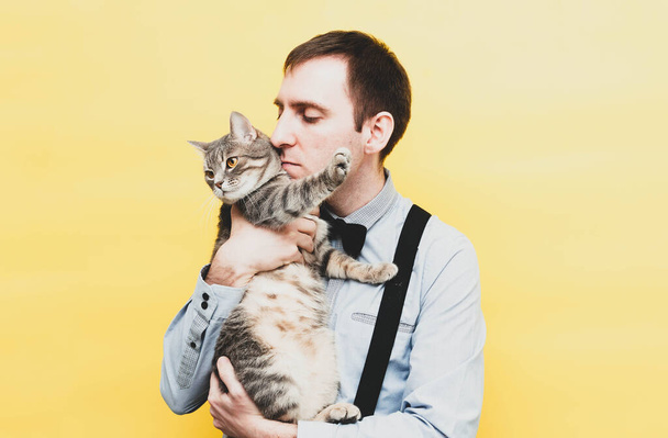 handsome man in blue shirt holding, hugging and kissing cute grey striped cat with outstretched paws on yellow background - Photo, image