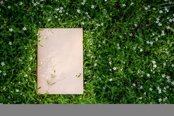 Creativo sfondo floreale verde di foglie naturali e erba prato. Cornice in carta Kraft
 - Foto, immagini
