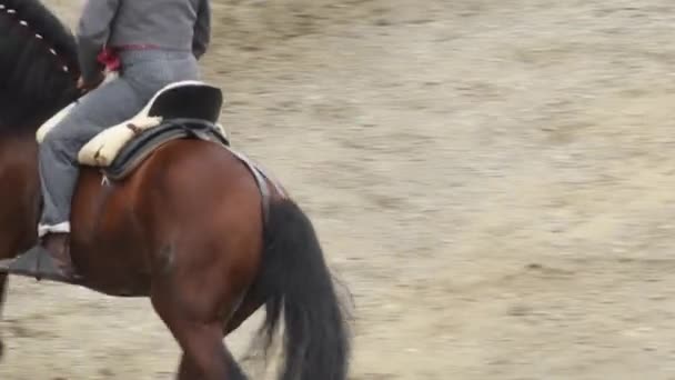 Ισπανικό άλογο και αναβάτης εκτελεί μια έκθεση ιππασίας - Πλάνα, βίντεο