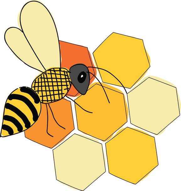Honeycomb and bee vector illustration - Vector, Image