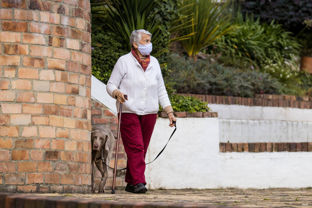 Femme âgée portant un masque facial fait maison et faisant une courte promenade à l'extérieur avec son animal de compagnie pendant la désescalade de la quarantaine de coronavirus
 - Photo, image