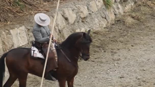 Всадник с удочкой и лошадью на конной выставке - Кадры, видео