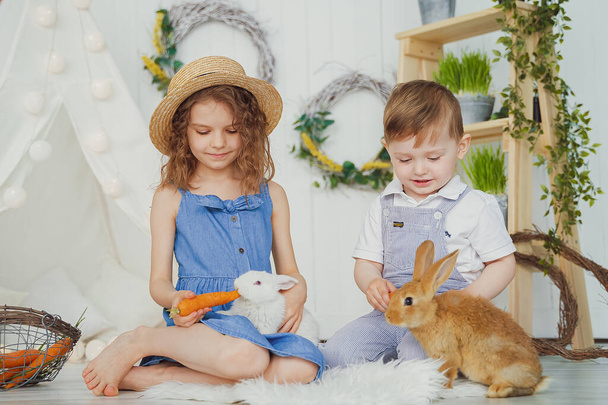 Happy laughing little girl and boy playing with a baby rabbit, feeding it, hugging real bunny pet and learning to take care of an animal - Foto, immagini