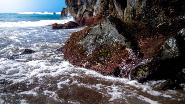 鋭い崖や海の岩の上に生えている海藻のイメージを閉じます - 写真・画像
