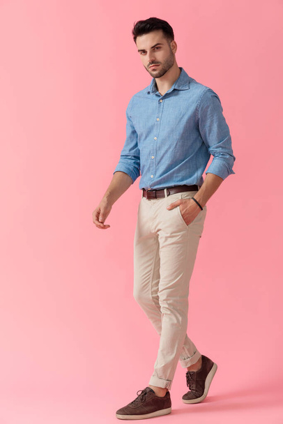 side view of a young businessman wearing blue shirt walking with hand in pocket and looking at camera serious on pink studio background - Foto, immagini