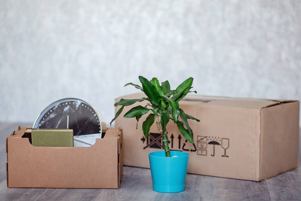 moving to a new apartment with things in cardboard boxes. Boxes with things and a green plant on the floor in an empty apartment after moving.  - Fotó, kép