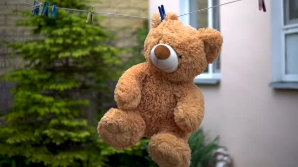Ein Teddybär wird an einem Seil getrocknet. Bär hängt draußen. Wäscheklammer am Ohr. - Filmmaterial, Video