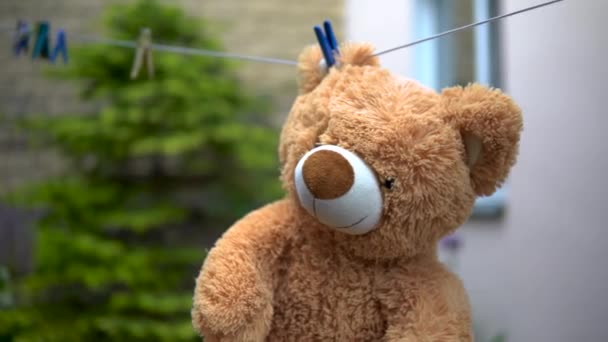 Ein Teddybär wird an einem Seil getrocknet. Bär hängt draußen. Wäscheklammer am Ohr. - Filmmaterial, Video