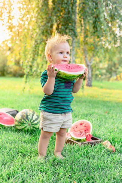Beautiful blonde child boy eating big slice of ripe red watermelon. Happy childhood in summer time in backyard. Caucasian baby boy enjoy picnic outdoors on grass lawn. - Photo, Image
