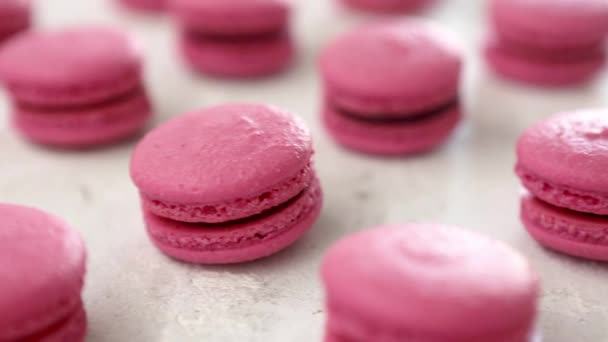 Nahaufnahme vieler Reihen rosa Makronen auf weißem Hintergrund. Klassisches französisches Dessert. - Filmmaterial, Video