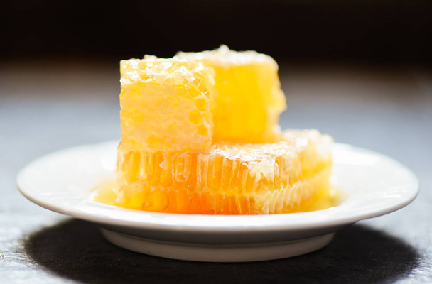 Fresh honey sweet on white plate / Honeycomb , Honey Bee  - Photo, Image