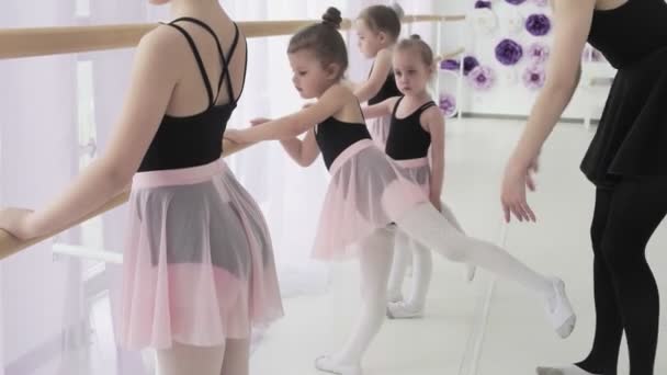 Jóvenes bailarinas en trajes de ballet de moda están practicando movimientos de pies y plie en salón de baile ligero con barra de ballet de madera y grandes ventanales
. - Metraje, vídeo