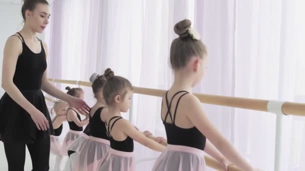 Group of ballet-dancers training at barre. - Footage, Video