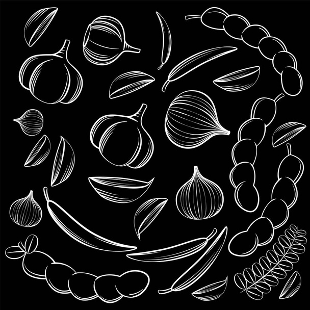 Digitální vektor detailní line art chilli, česnek, šalotka, tamarind na černém pozadí - Vektor, obrázek