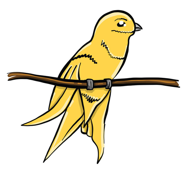 Sarı kuş dalda, illüstrasyon, beyaz arkaplanda vektör - Vektör, Görsel