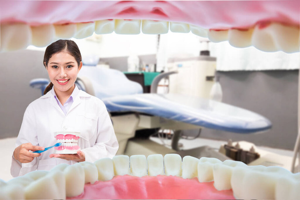 Zubař drží zubní model objekt demonstrace zubní péče na zubní klinice - Fotografie, Obrázek