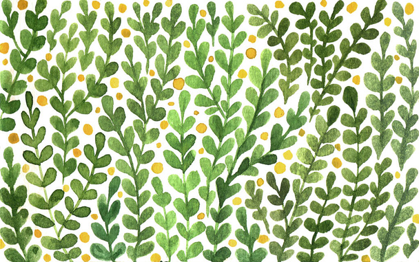Watercolor green leaves horizontal handdrawn background. Floral pattern filled with green twigs.  - 写真・画像