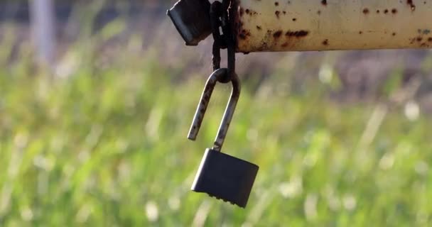 Σκουριασμένο Lock a Σε ένα αγρόκτημα με πράσινο φόντο Θολούρα - Πλάνα, βίντεο