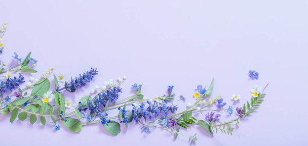 beautiful summer flowers on blue background - Foto, Imagem