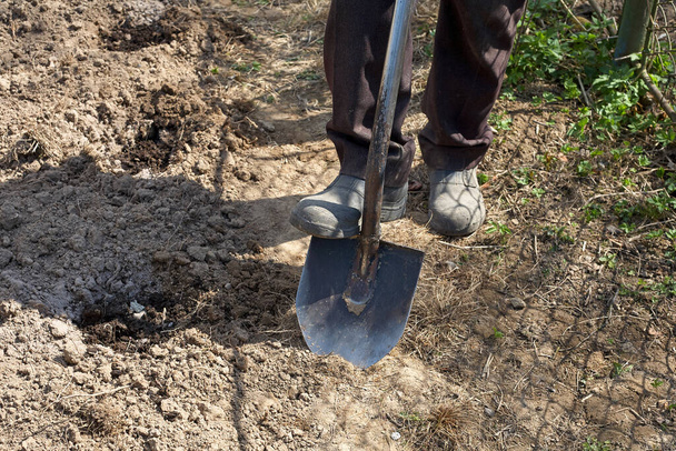 Arbeiter gräbt seinen Garten mit einer Schaufel um. Die Schaufel ist alt. Horizontaler Rahmen. - Foto, Bild