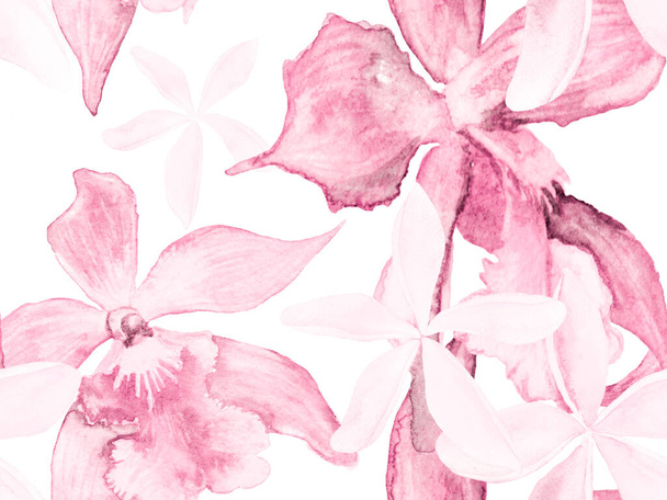 Orchid Seamless Pattern. - Valokuva, kuva