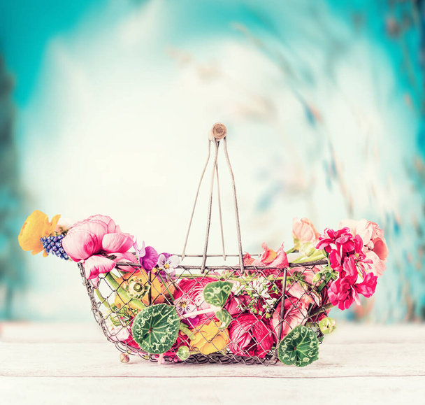 Summer flowers in basket on table at  turquoise blue sky background, fron view, gardening concept - Photo, Image