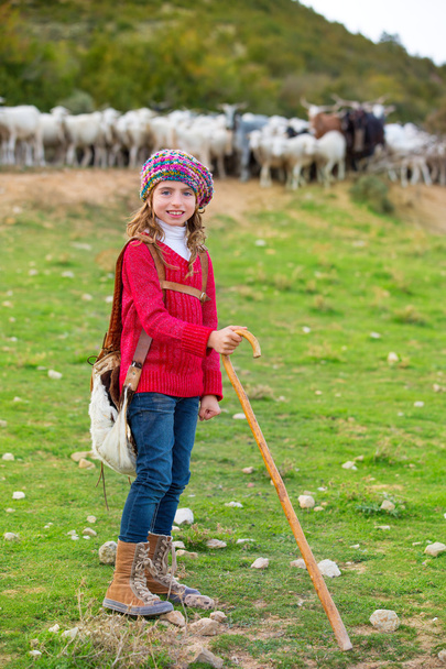 Kid girl shepherdess happy with flock of sheep and stick - 写真・画像